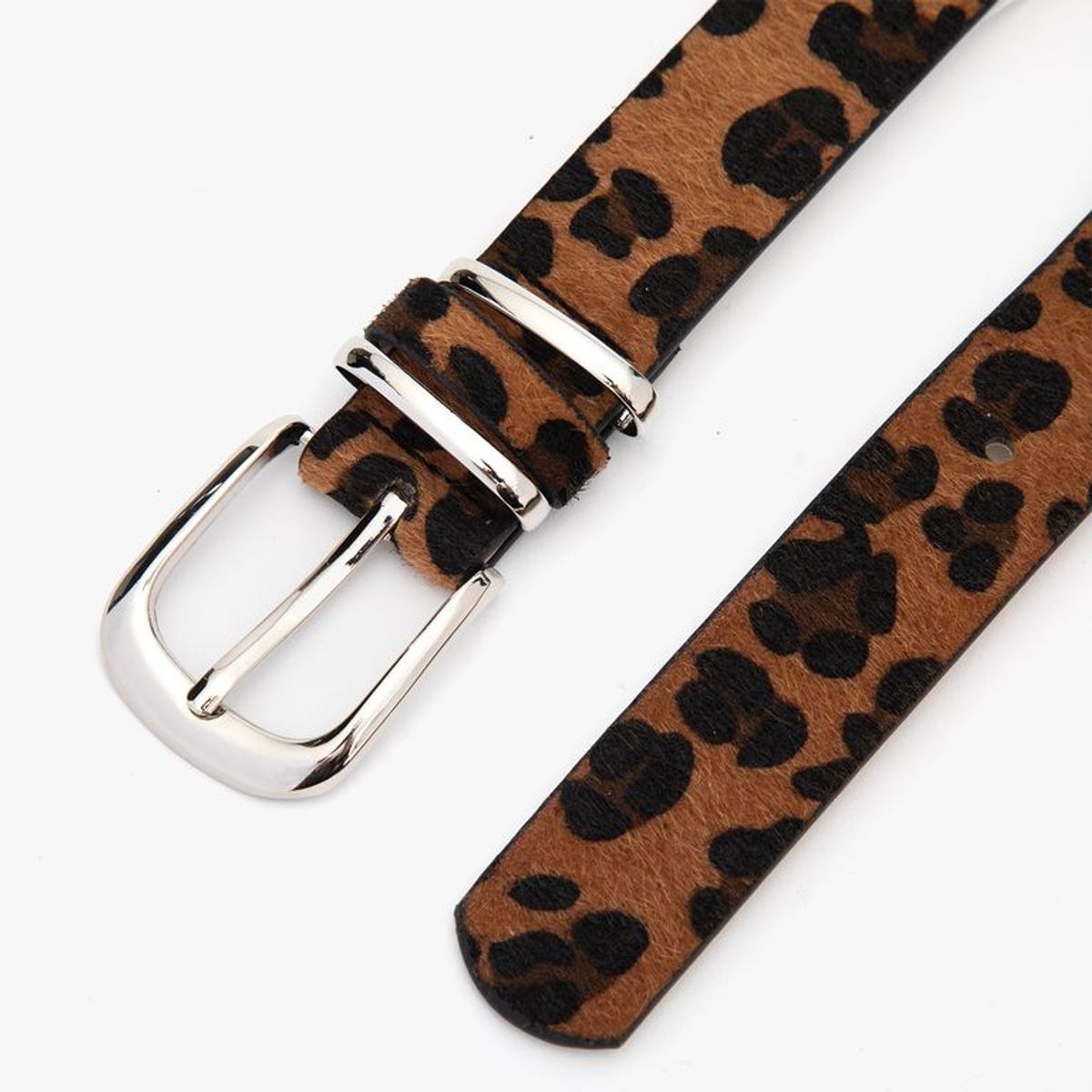 SYBILLA - Cinturón Sintet CIS102AI26 ANIMAL PRINT SAS M/L