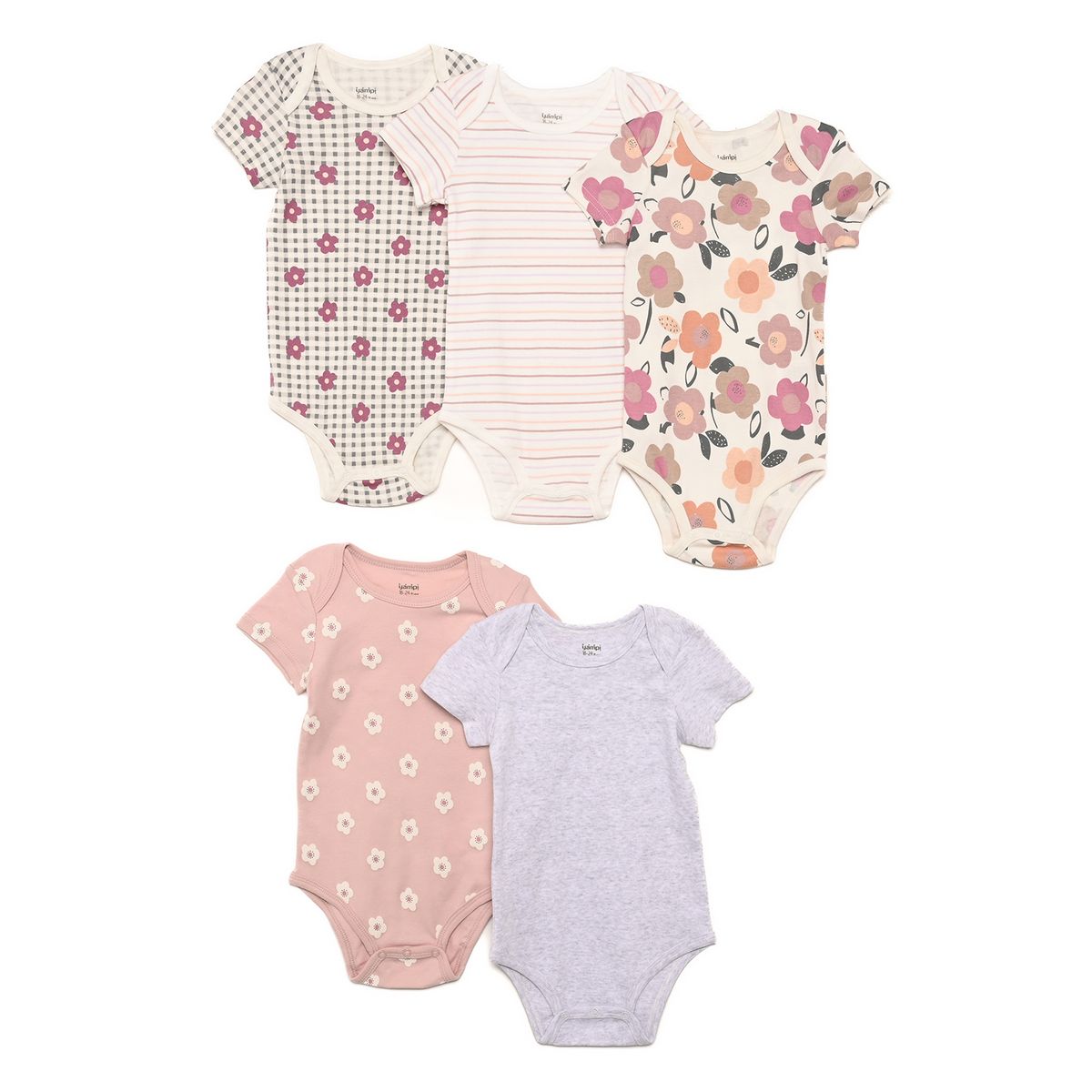 YAMP - Bodie para Bebé niña Pack de 5 unidades de Algodón Yamp