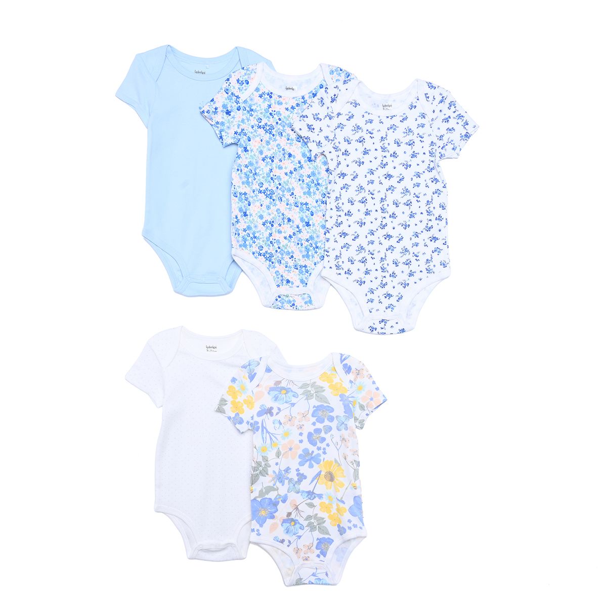 YAMP - Bodie para Bebé niña Pack de 5 de Algodón Yamp