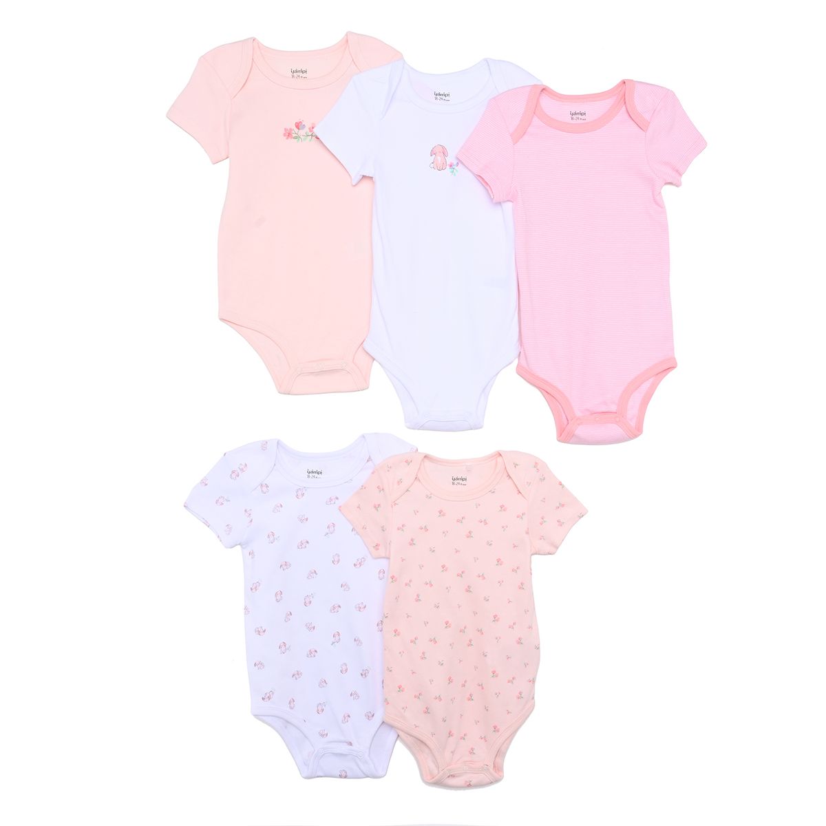 YAMP - Bodie para Bebé niña Pack de 5 de Algodón Yamp