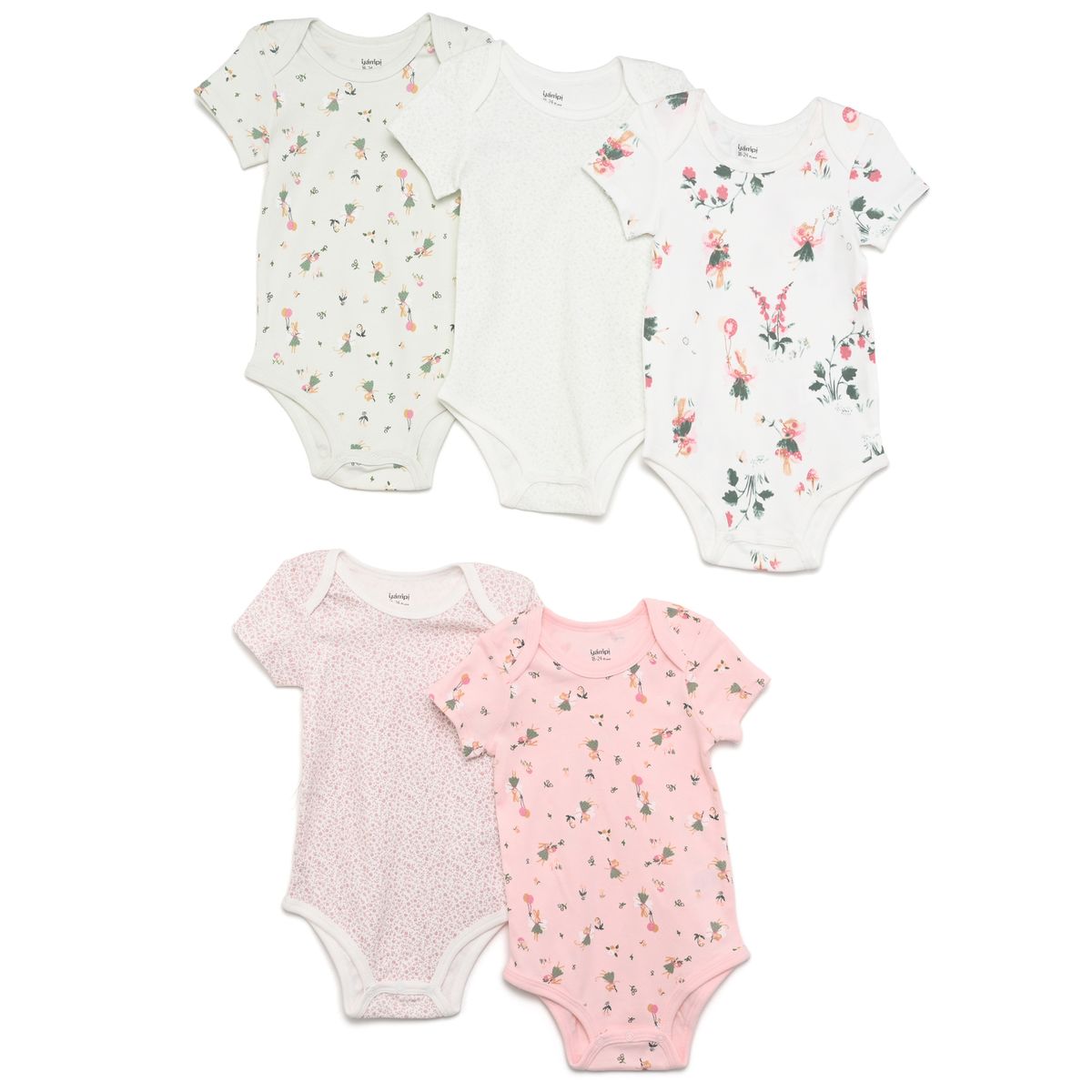 YAMP - Body para Bebé niña Pack de 5 unidades de Algodón Yamp