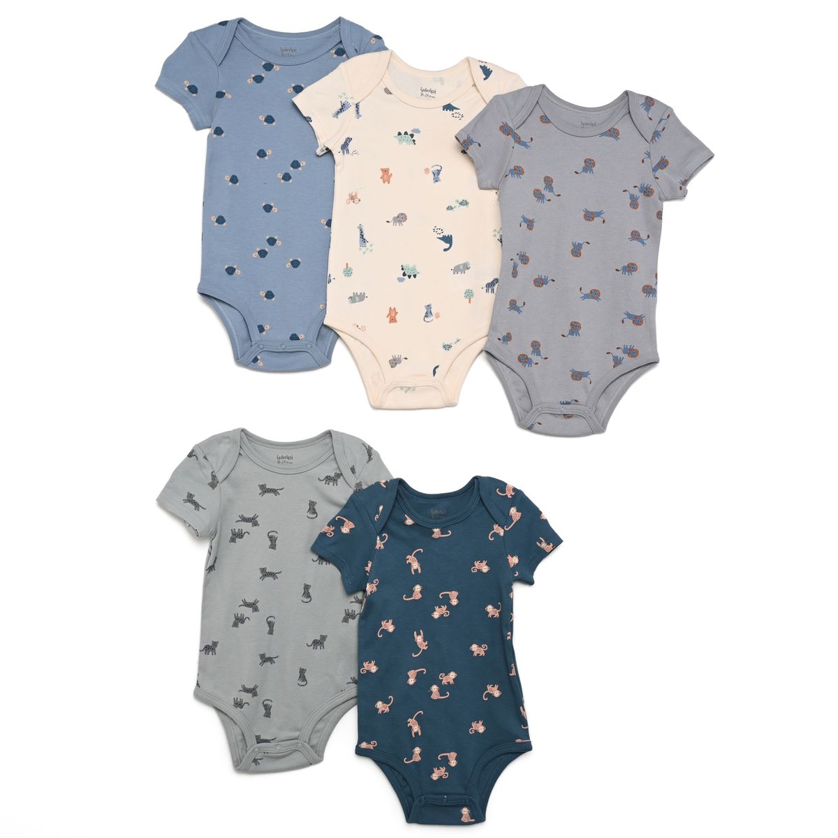 YAMP - Body para Bebé niño Pack de 5 unidades de Algodón Yamp