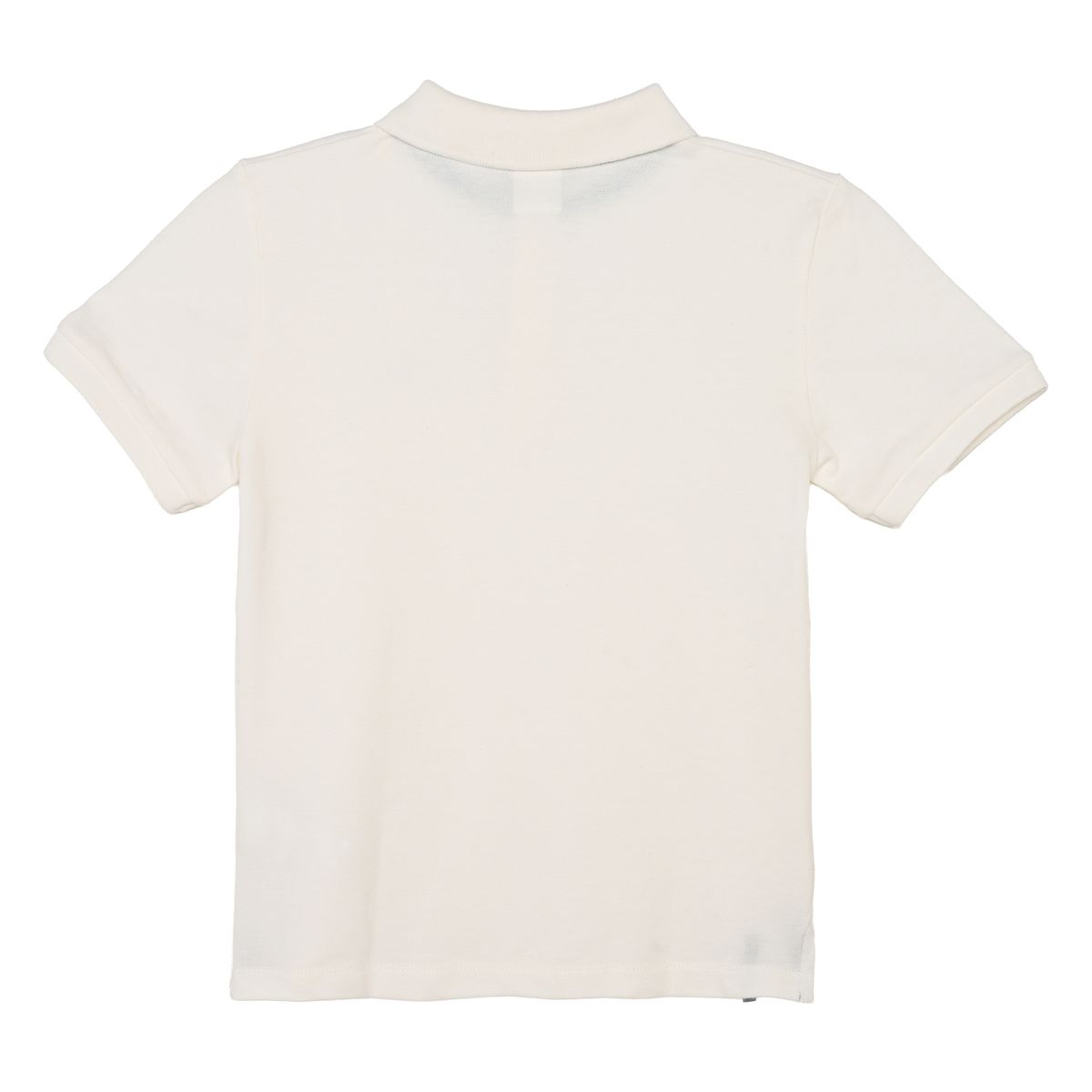 CONIGLIO - Camiseta para Niño Manga corta de Algodón Coniglio