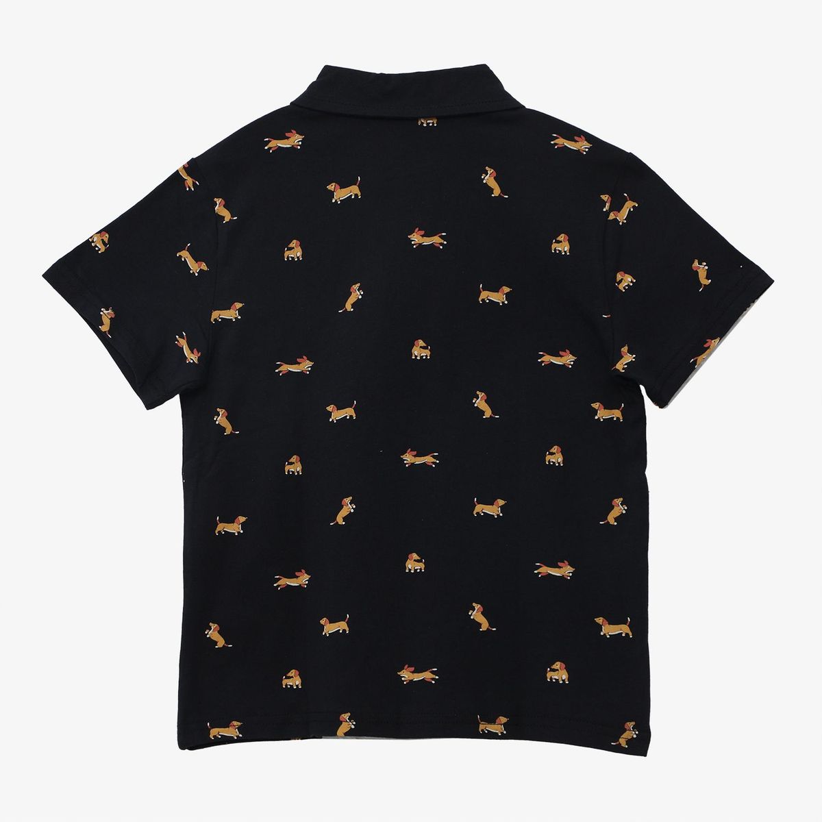 YAMP - Camiseta para Niño con Estampado Manga corta de Algodón Yamp
