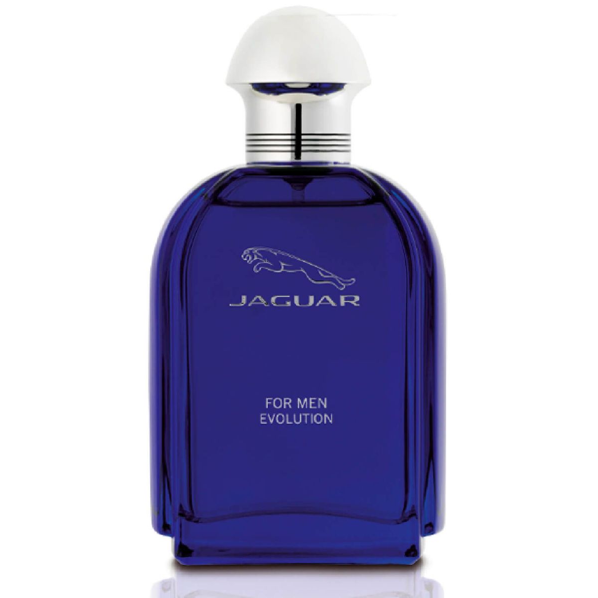 JAGUAR - Perfume Jaguar For Men Evolution Hombre 100 ml Eau de toilette 