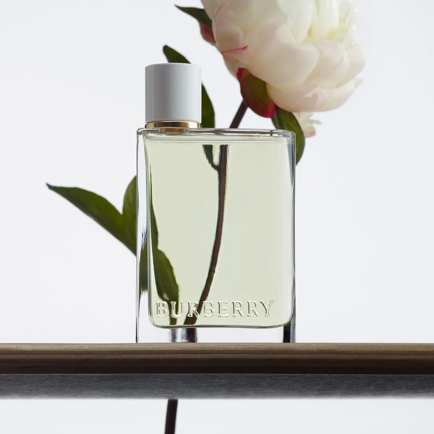 Perfume Mujer Burberry Her Green 100 ml Eau de Toilette BURBERRY |  Falabella Colombia