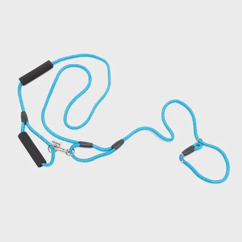 Arnés, collares y correas para perros