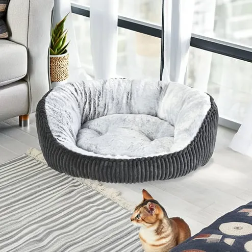 Casas, camas y transporte para perros