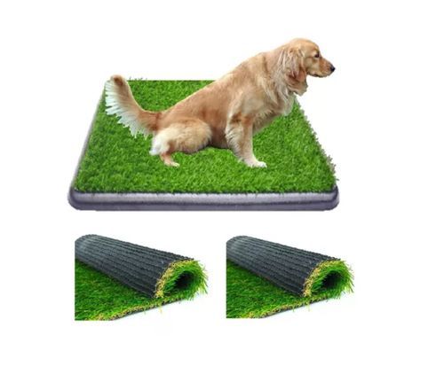 Pañales para perros