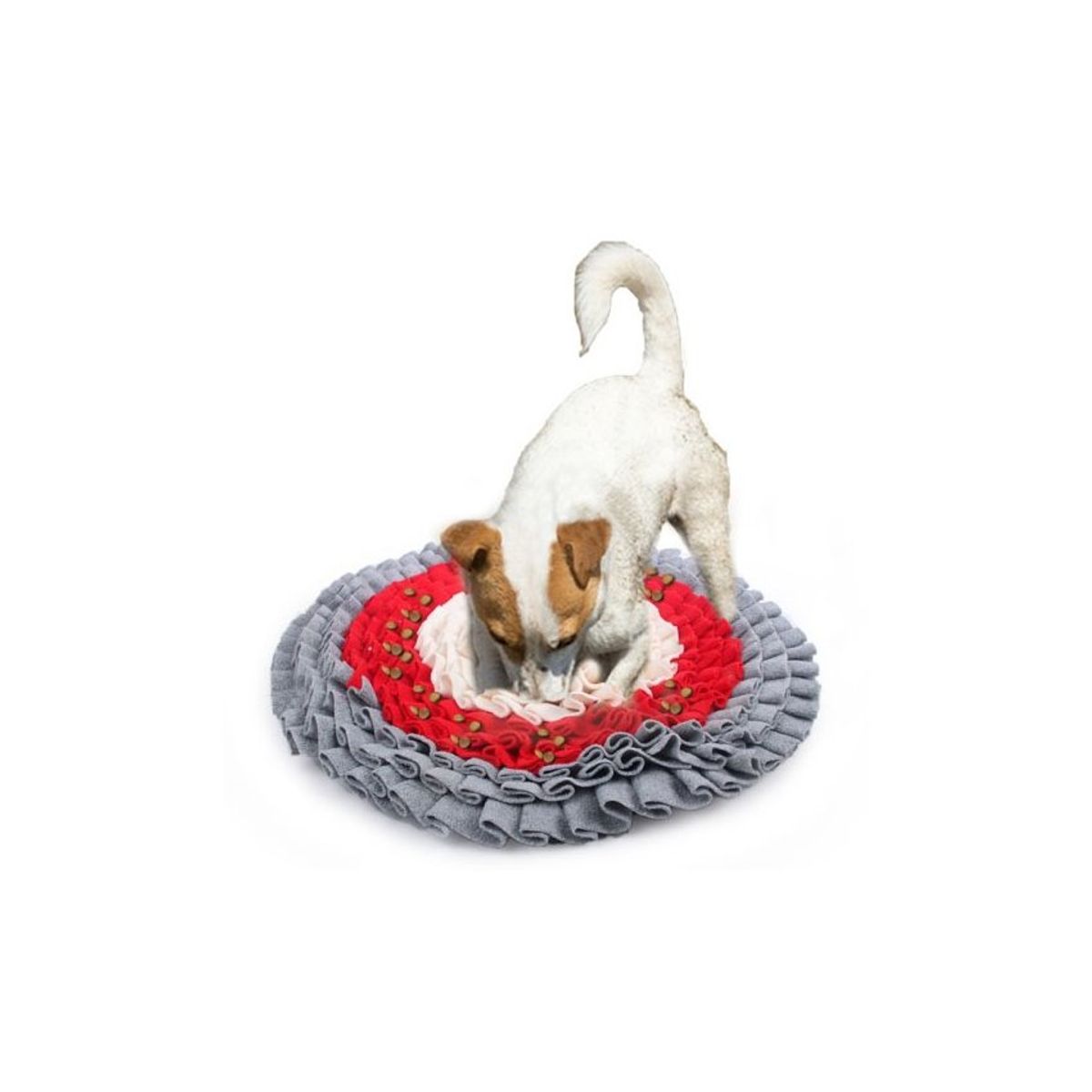 ALL FOR PAWS - Alfombra olfativa para perro - bicolor circular
