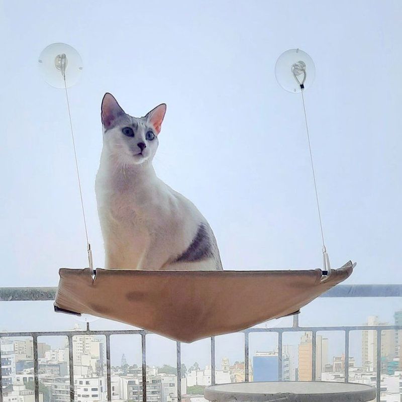 ALL FOR PAWS - Hamaca de ventana afp -  para gatos