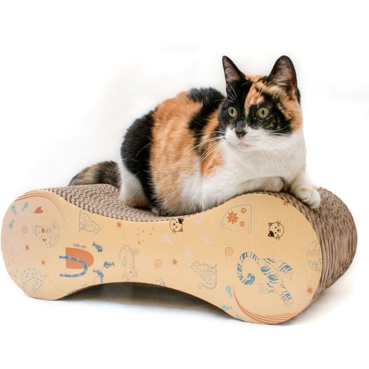 CAT OH - Rascador para gatos - sofá del engreído