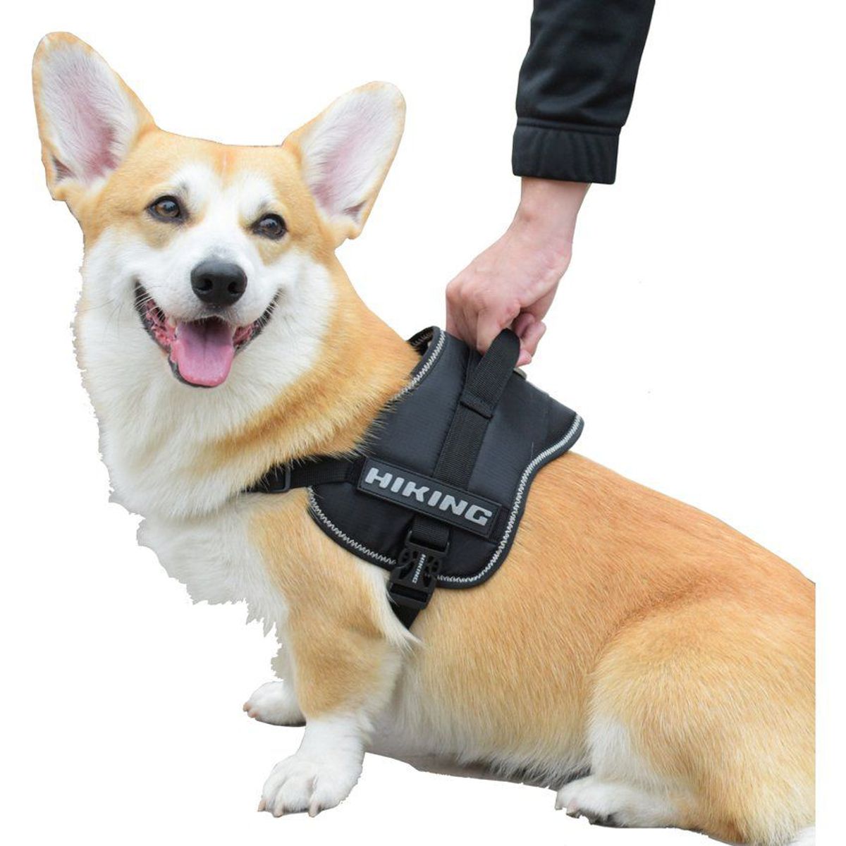 CROCI - Arnés para Perros hiking con Asa superior 50 - 68 CM