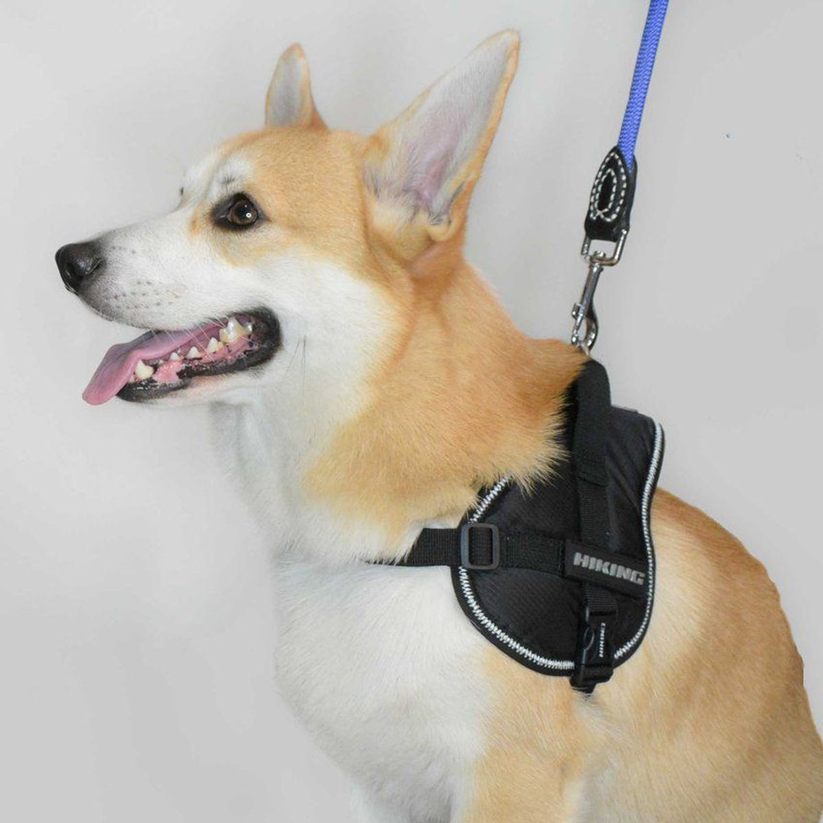 CROCI - Arnés para Perros hiking con Asa superior 50 - 68 CM