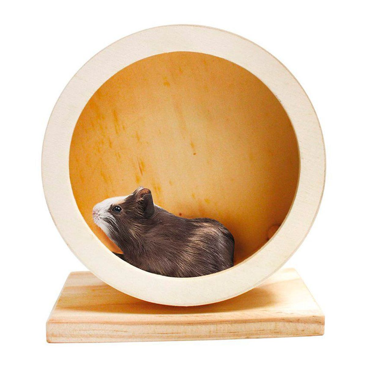 CROCI - Rueda de Madera para Hamster o Roedores