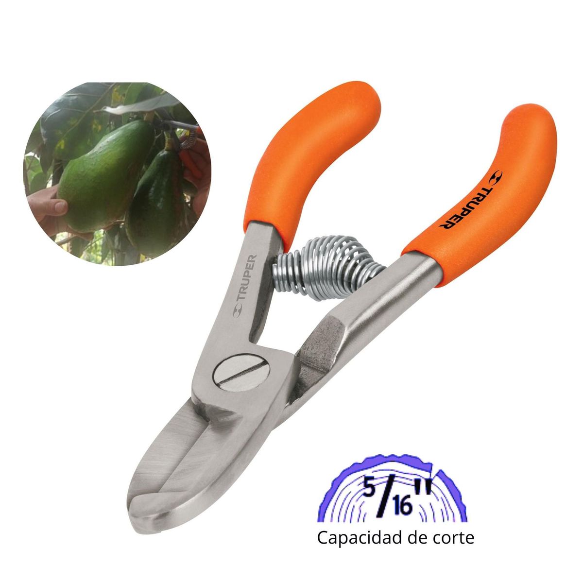 TRUPER - Tijera de poda y cosecha paltas y frutas delicadas - Truper
