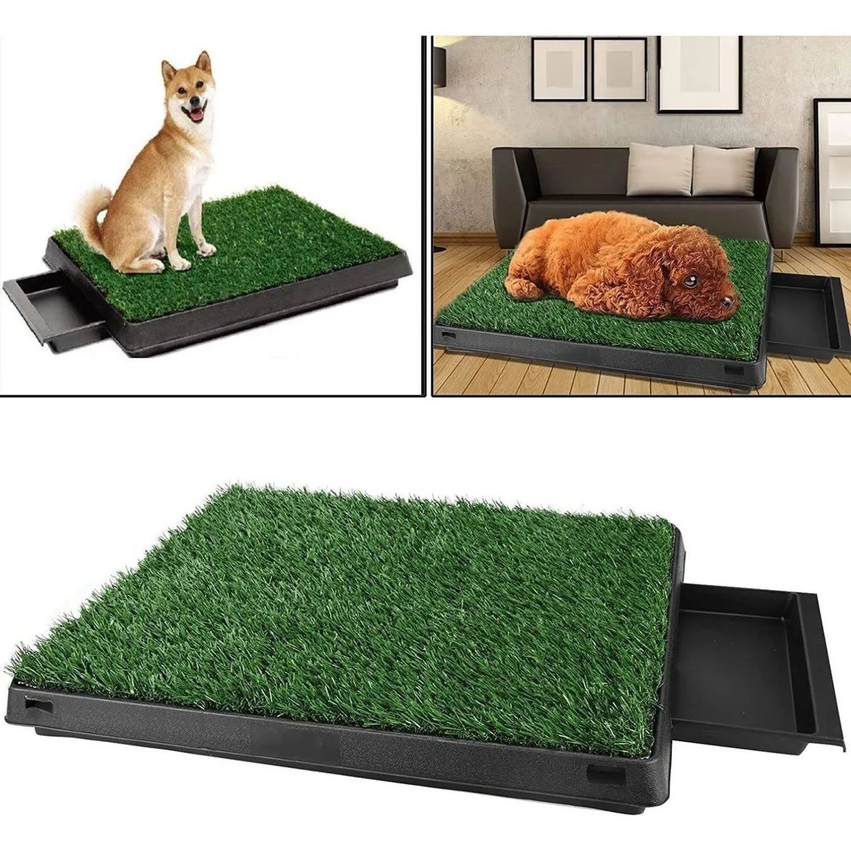 OEM - Baño Portatil Eco Grande Perro  Educador Pipi