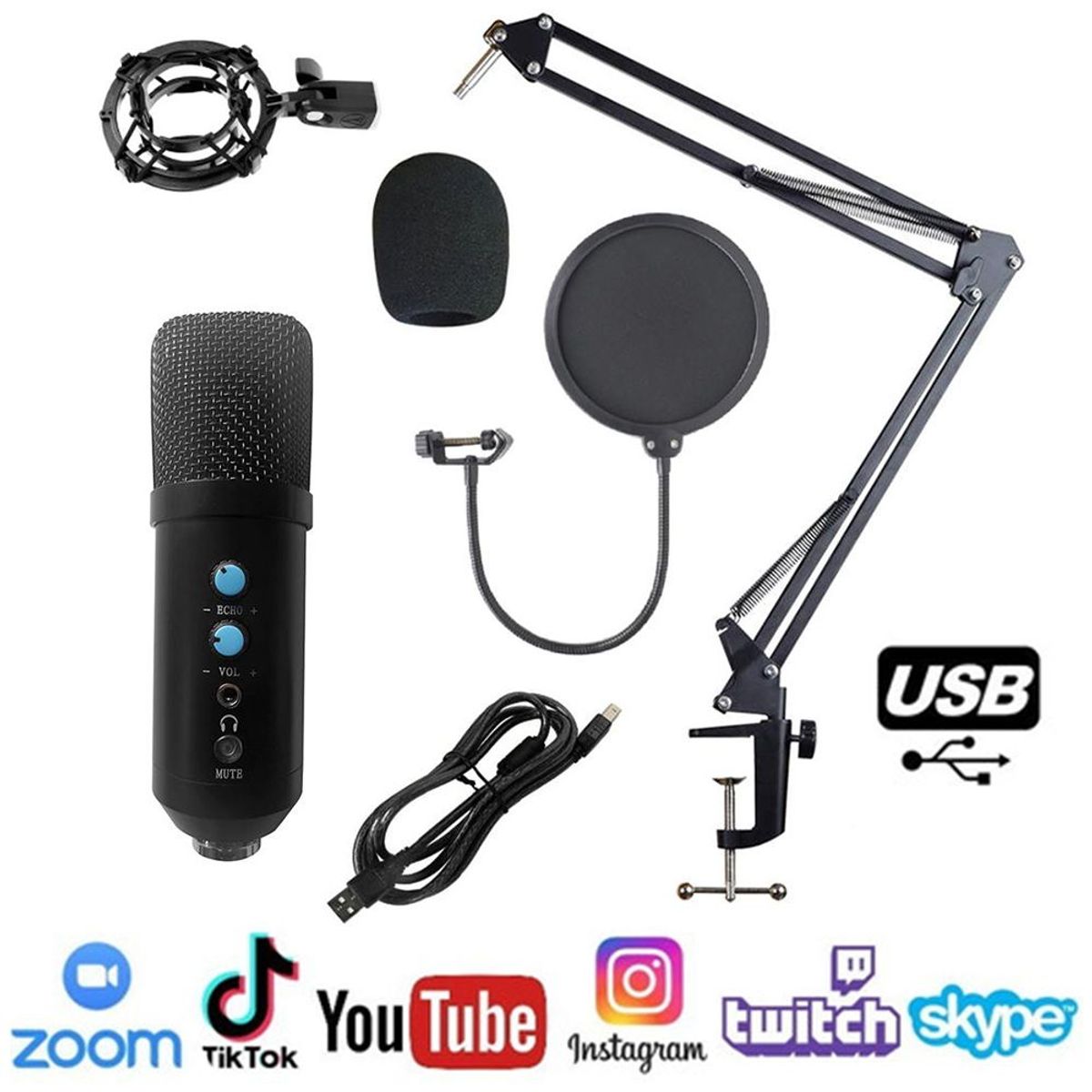 GENERICO - Microfono Condensador profesional BM858TZ USB estudio de grabación PC