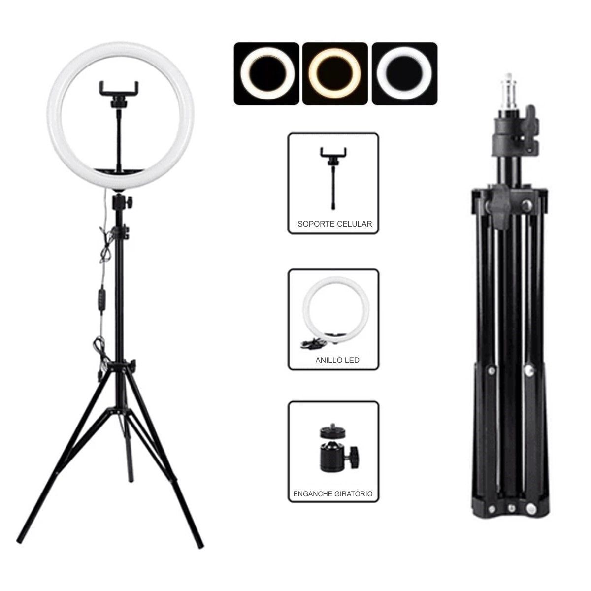 GENERICO - Aro luz led anillo 26 Cm Fotografia Video + Tripode 2.1 Metros