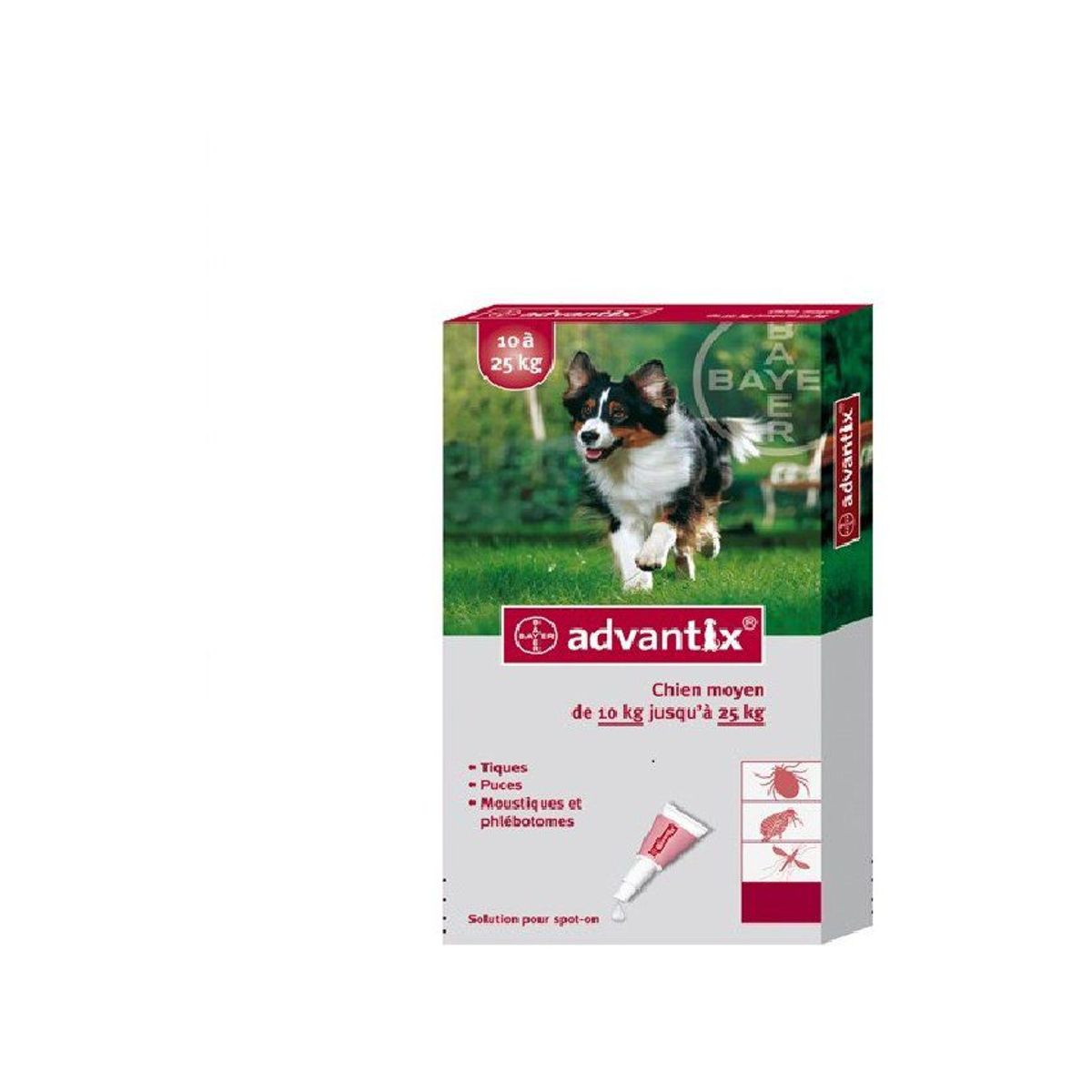 ADVANTIX - Advantix pipeta antipulgas para perros de 10 a 25 kg