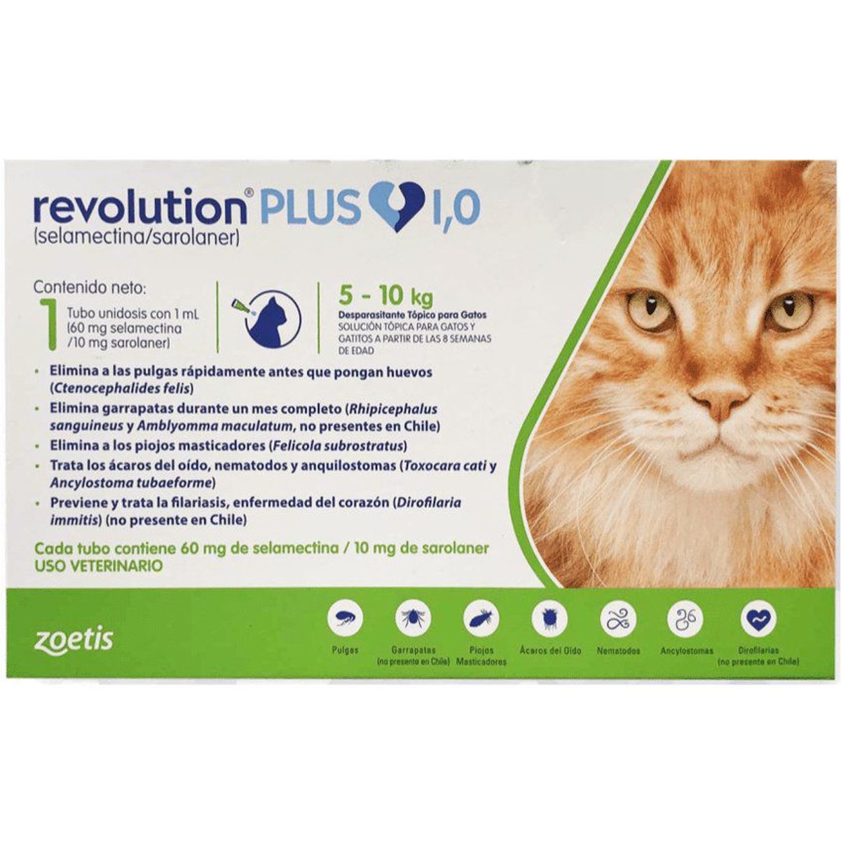 REVOLUTION - Antipulgas revolution plus para gatos de 5 a 10kg