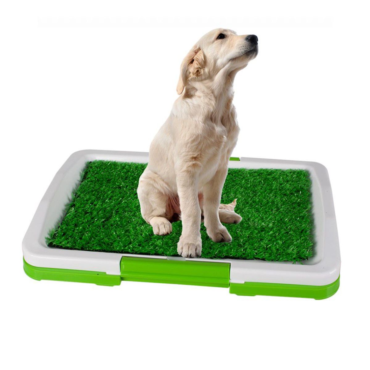 GENERICO - Baño Para Mascotas Puppy Potty Pad