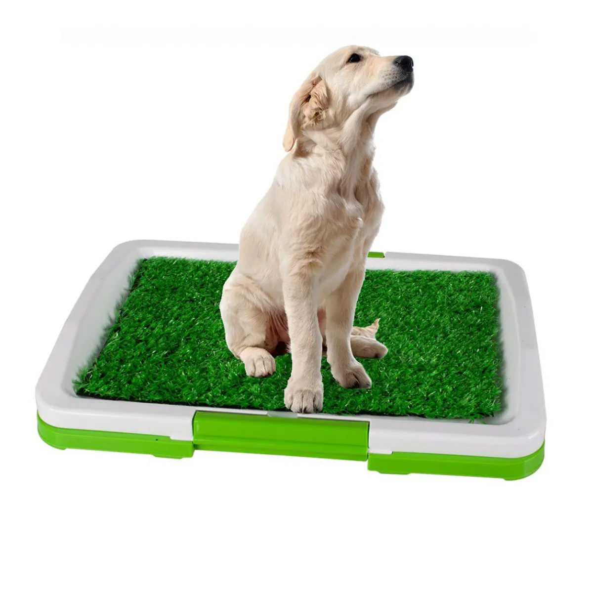 GENERICO - Baño Para Mascotas Puppy Potty Pad