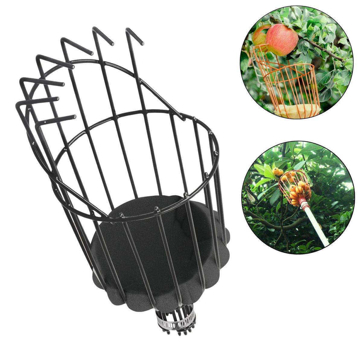 TRUPER - Recolector de frutas cosechadora de frutas Truper