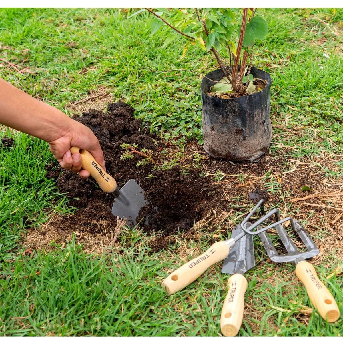 TRUPER - Juego de herramientas para jardín 4 piezas, 6" - truper
