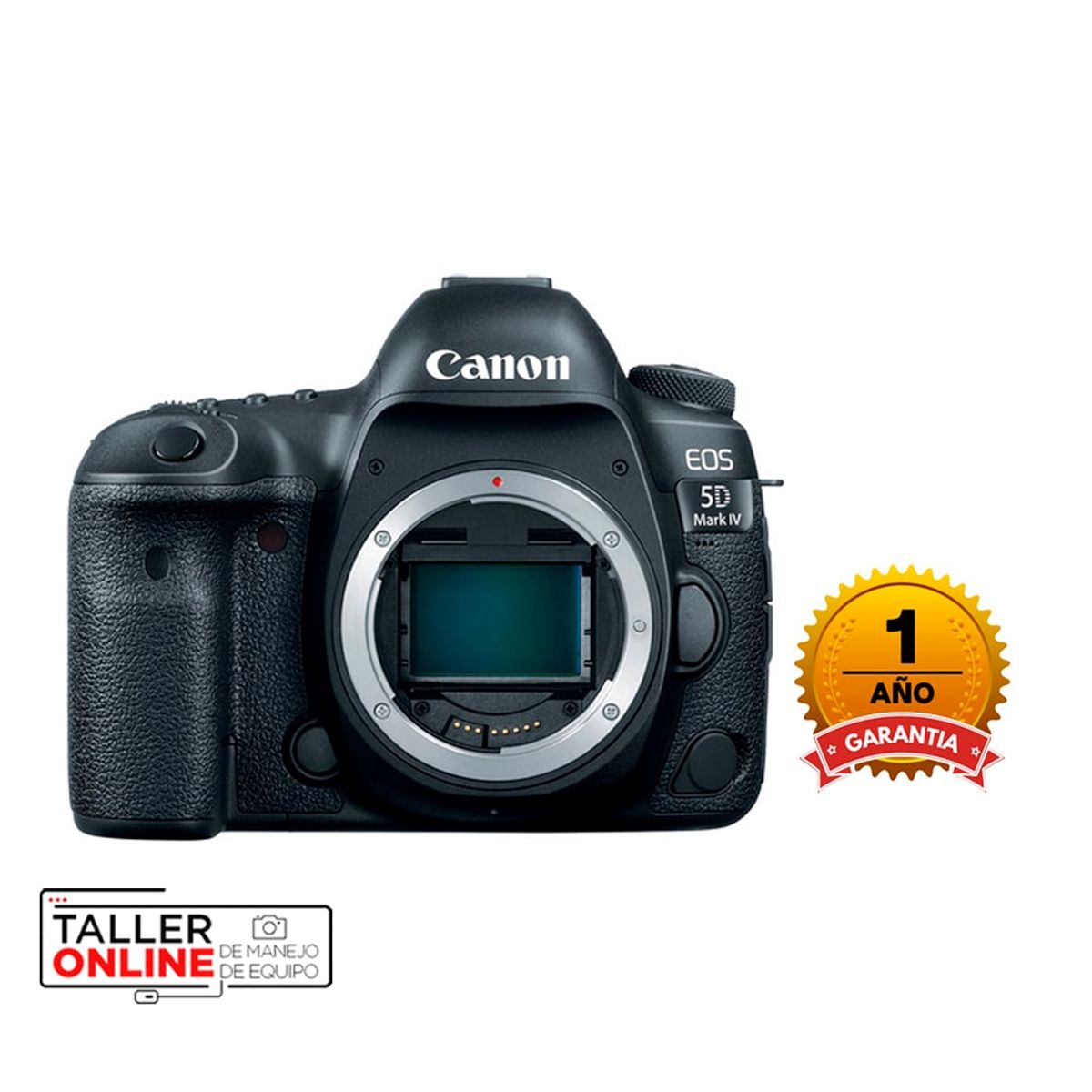 CANON - Camara Canon EOS 5D  Mark IV (Solo Cuerpo)