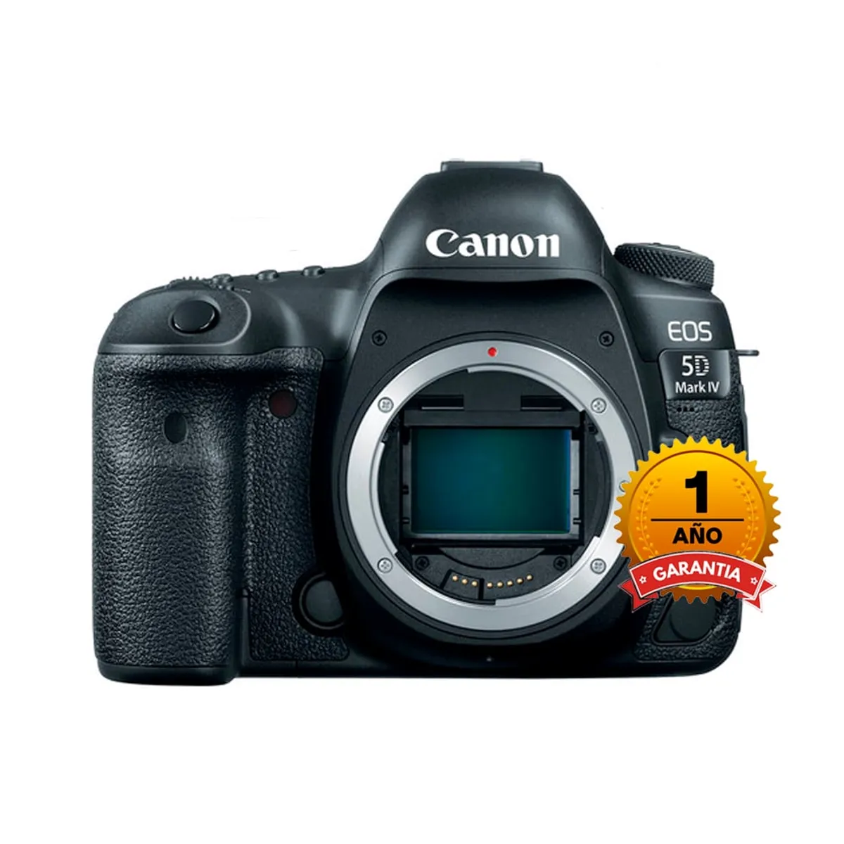 CANON - Camara Canon EOS 5D  Mark IV (Solo Cuerpo)