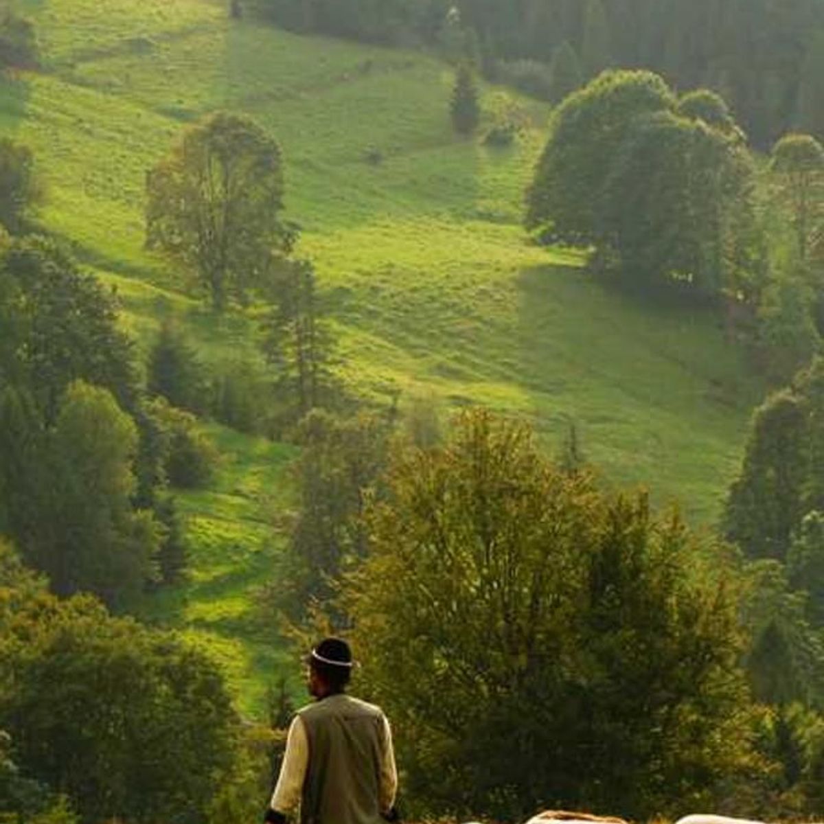 GENERICO - Producto Test