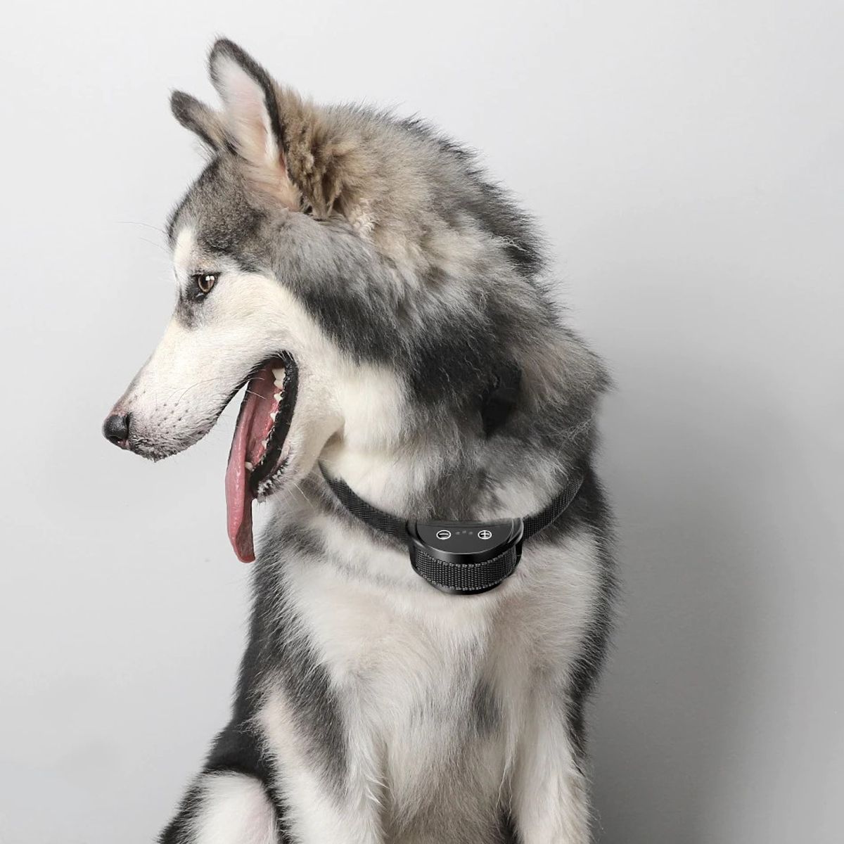 GENERICO - Collar Antiladrido De Adiestramiento Canino Recargable