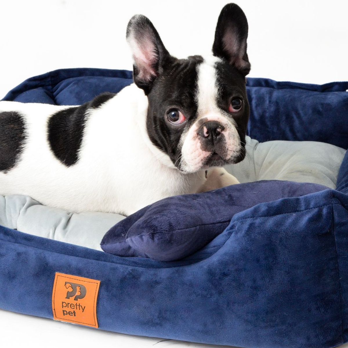 PRETTYPETS - CAMA HIPOALERGÉNICA PARA MASCOTA COLOR AZUL MARINO - TALLA 3