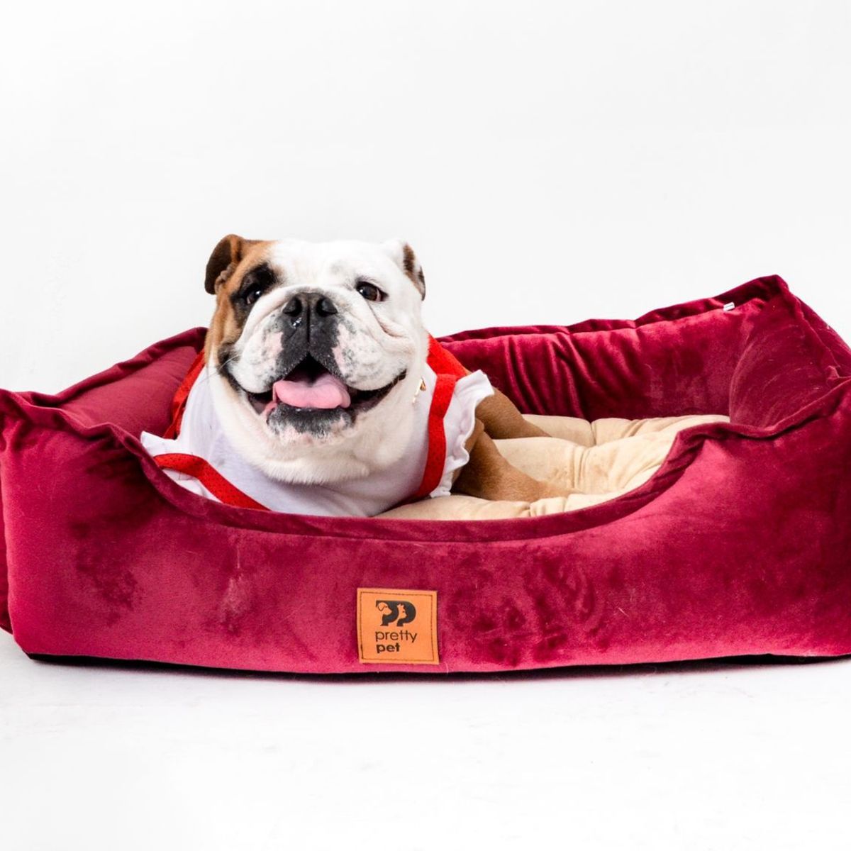 PRETTYPETS - CAMA HIPOALERGÉNICA PARA MASCOTA COLOR VINO - TALLA 3