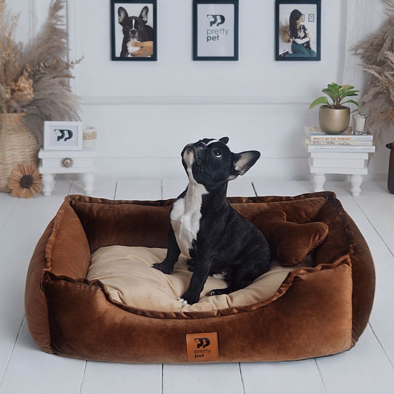 PRETTYPETS - CAMA PARA MASCOTA HIPOALERGÉNICA COLOR MARRON - TALLA 5