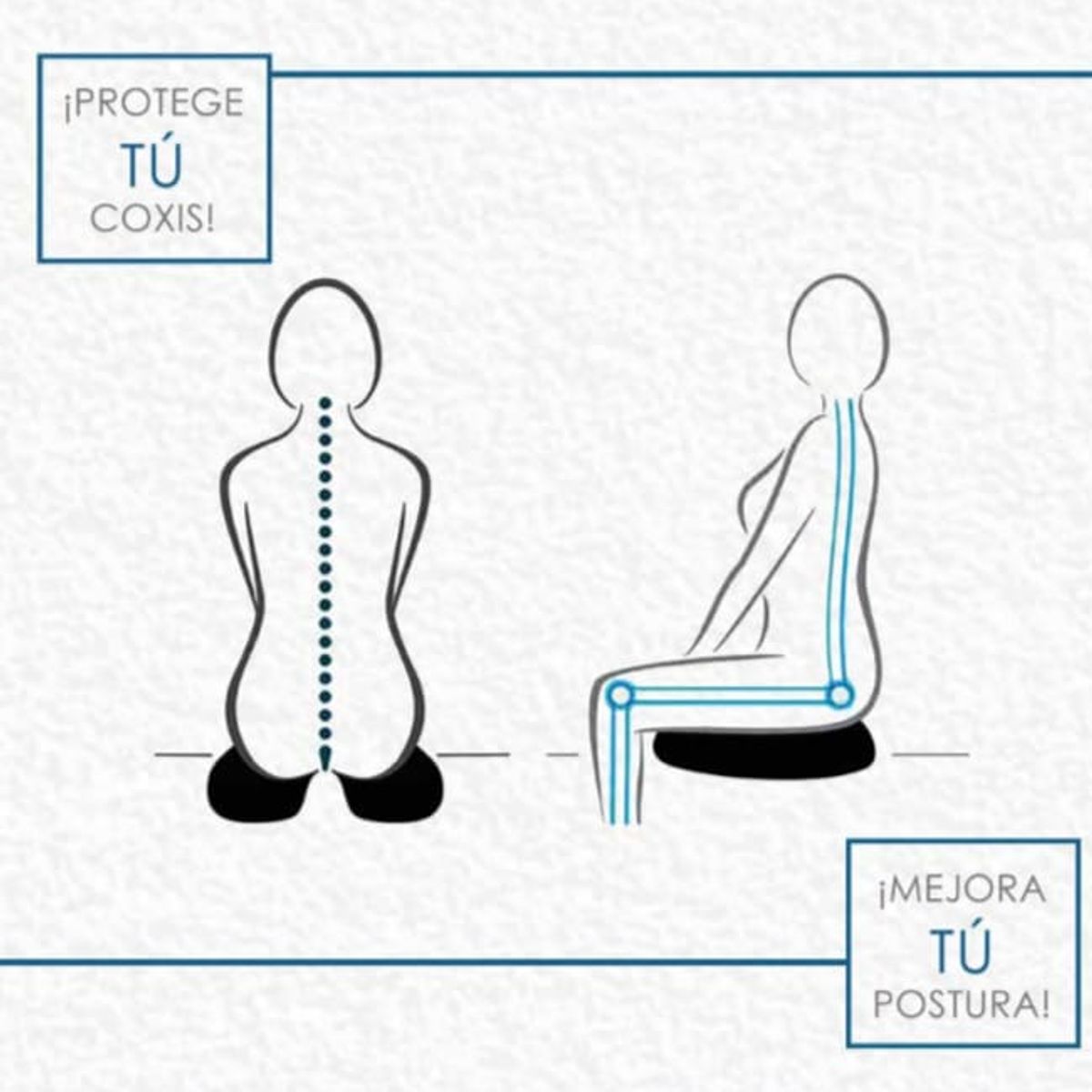 TERAFLEX - COJIN COXIS  MEMORY FOAM  47x42x5 CM TERAFLEX