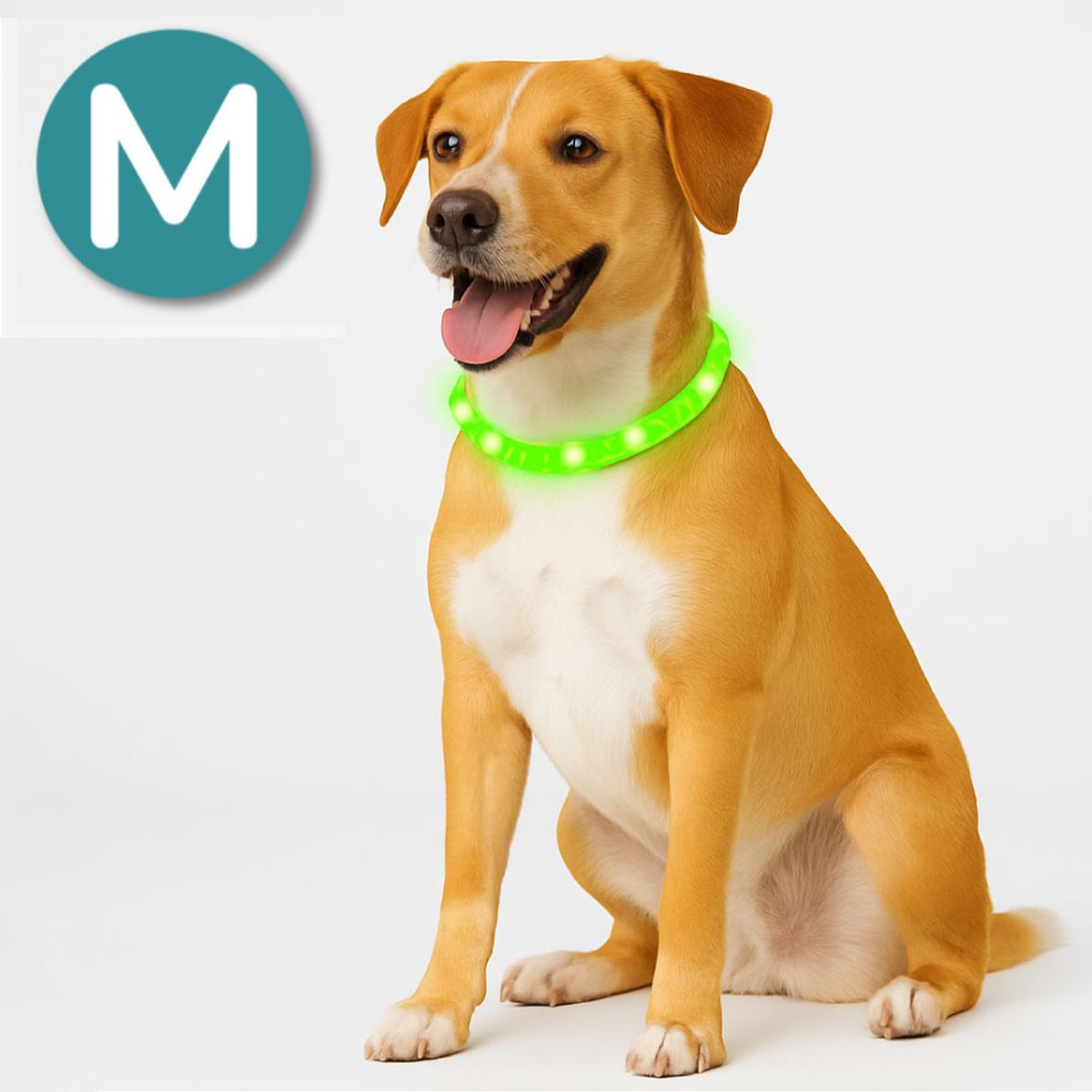 ALL FOR PAWS - Collar para perros led recargable M