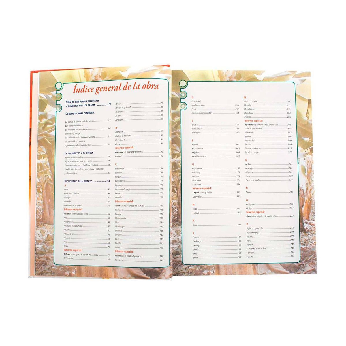 LEXUS - Los alimentos y sus poderes sanadores