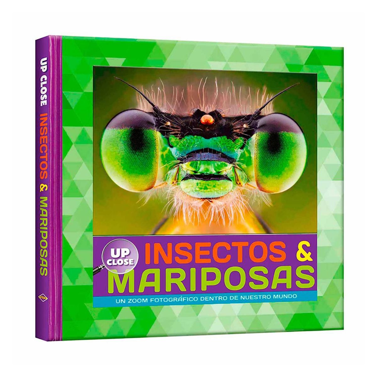 LEXUS - Insectos  mariposas