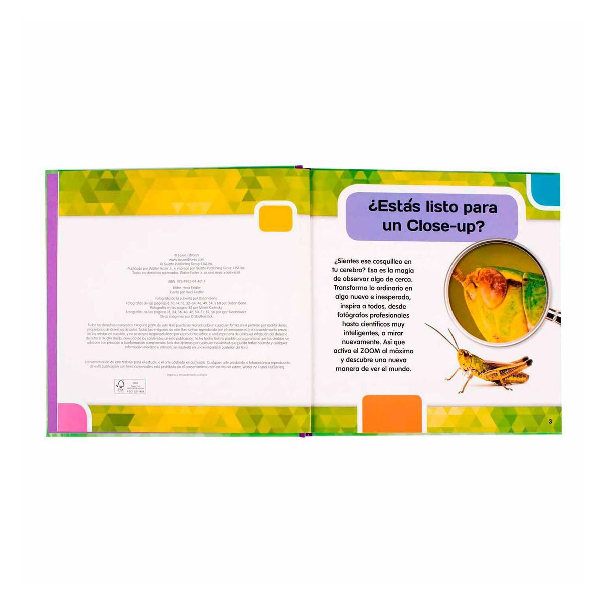 LEXUS - Insectos  mariposas