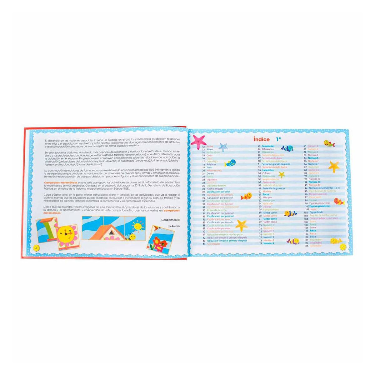 LEXUS - Campeones Matemáticos