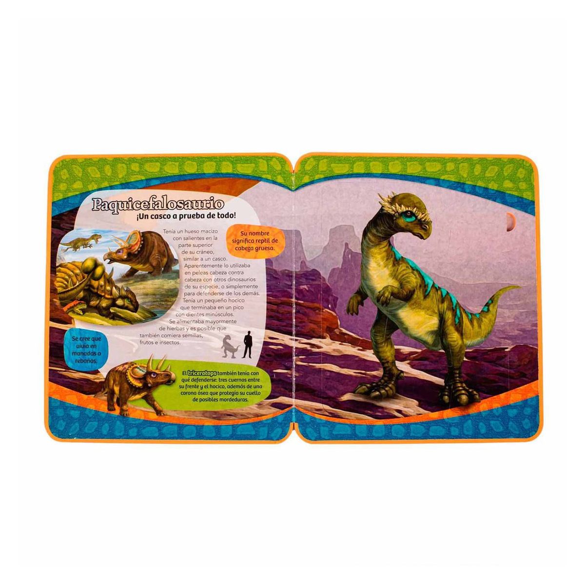 LEXUS - El Duro Paquicefalosaurio