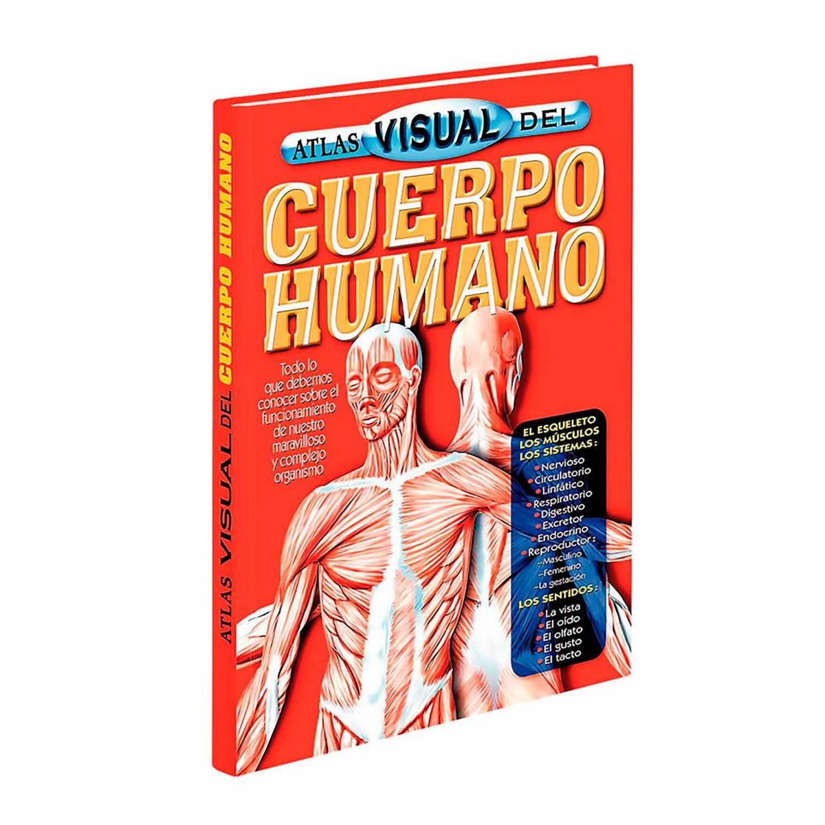 LEXUS - Atlas visual del cuerpo humano