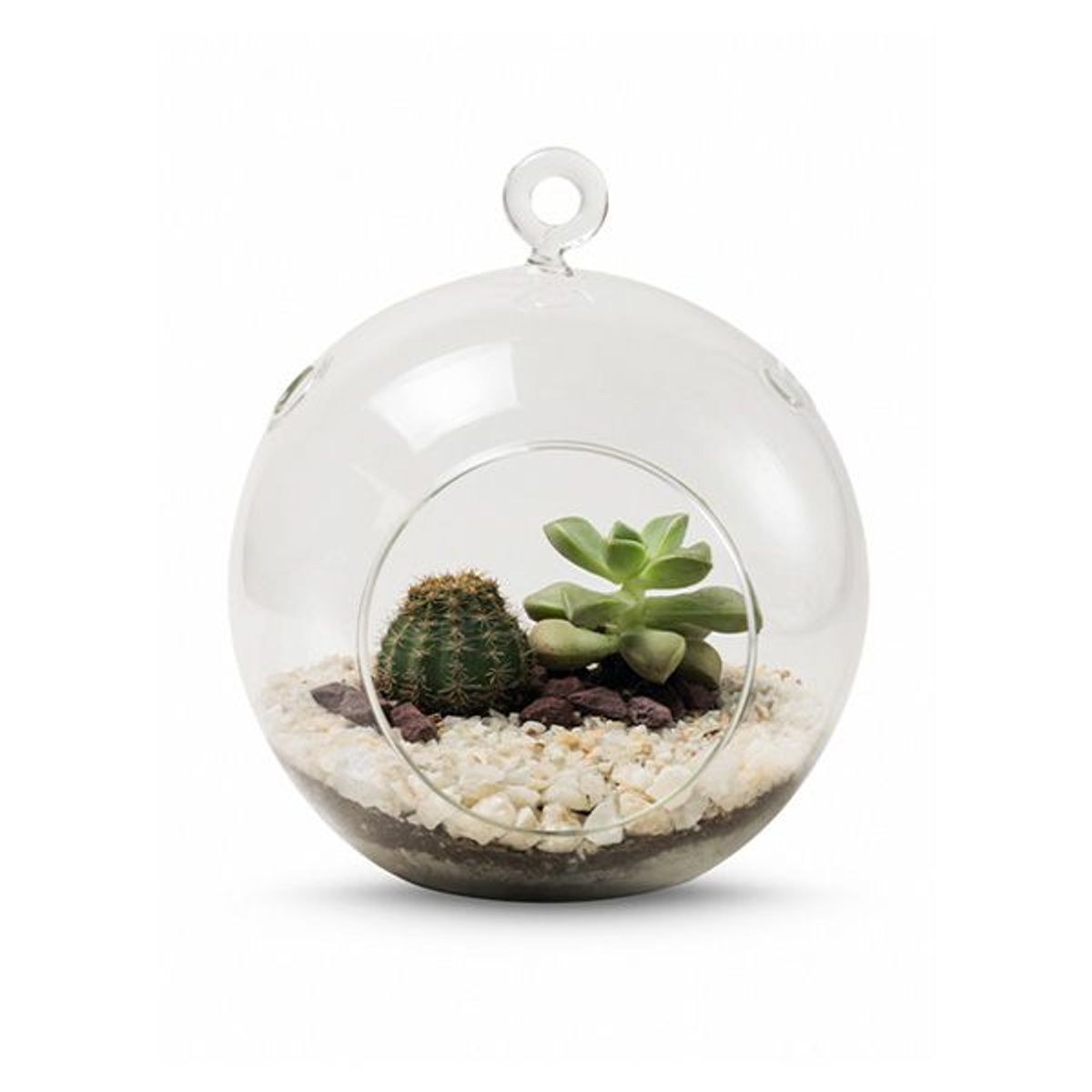 BIOPHILIA - Terrario tropical Berna - Grande