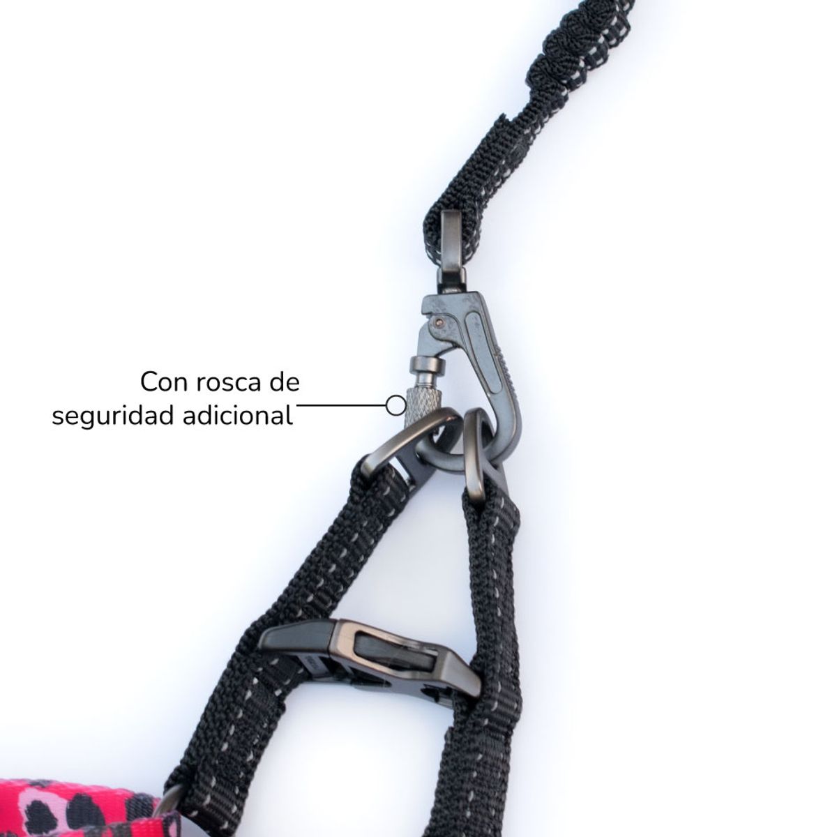ALL FOR PAWS - Correa para perros Afp Leopard