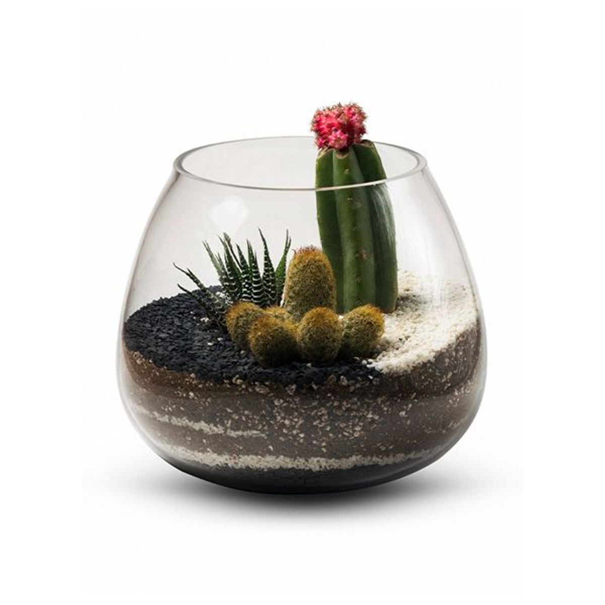 BIOPHILIA - Terrario tropical CAETANA