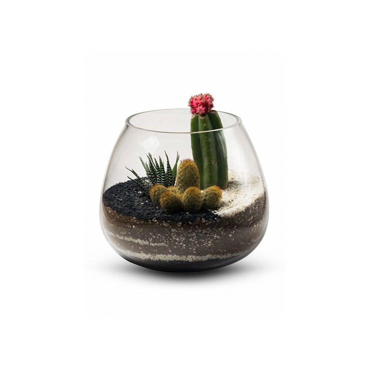 BIOPHILIA - Terrario tropical CAETANA