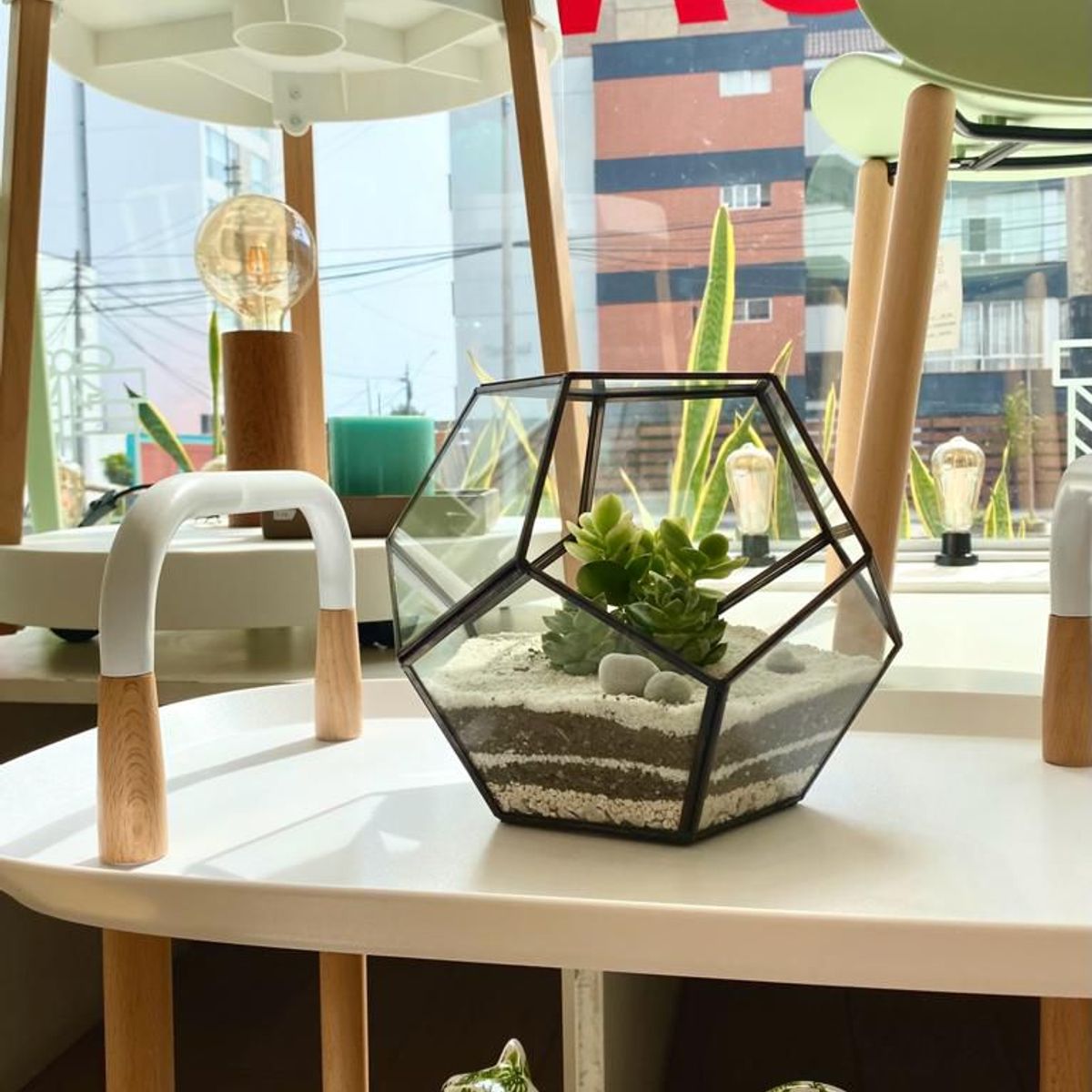 BIOPHILIA - Terrario tropical Abstract L