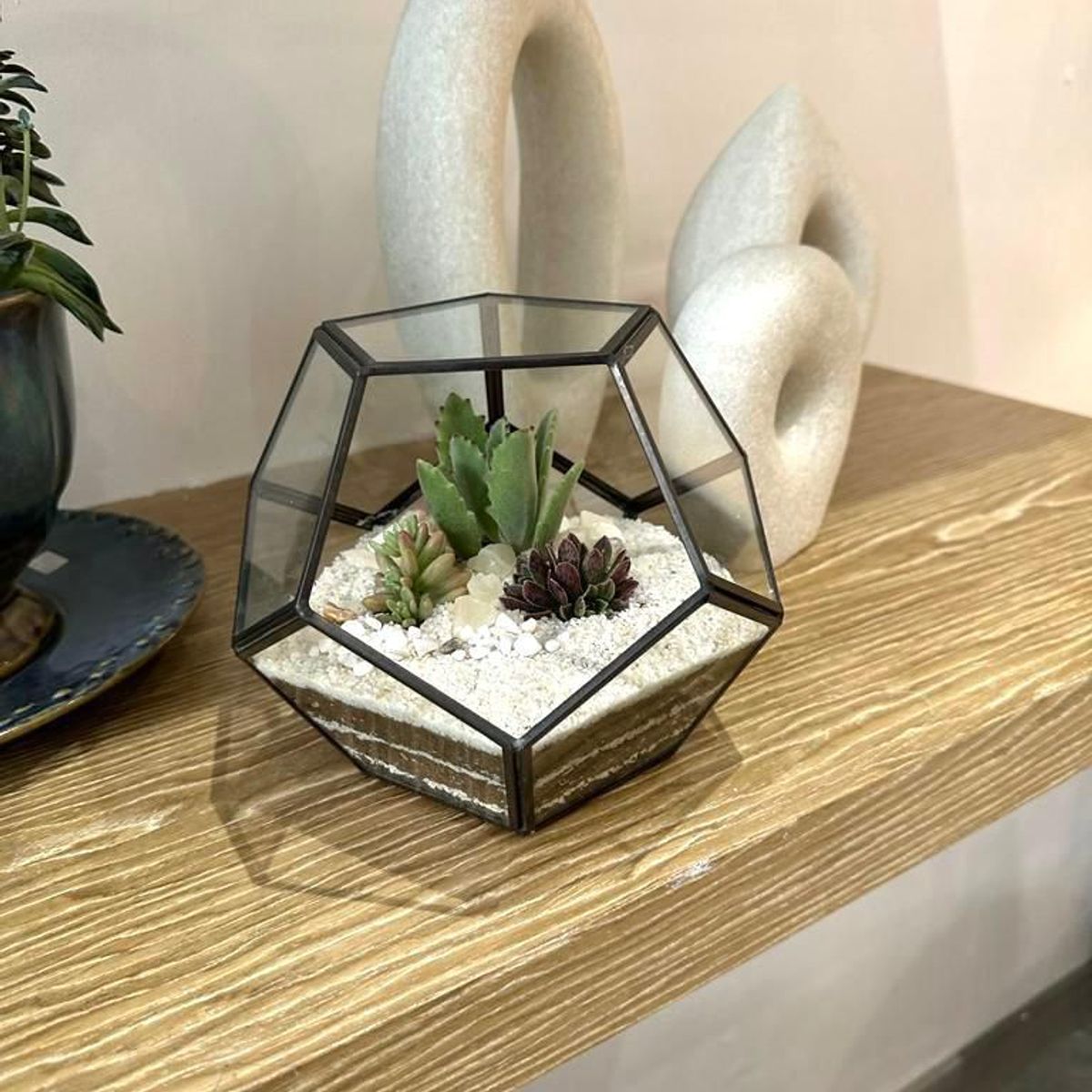 BIOPHILIA - Terrario tropical Abstract L